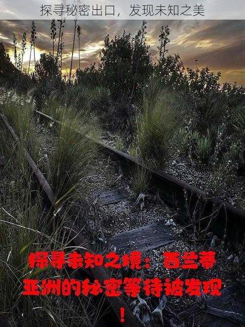 探寻秘密出口,发现未知之美