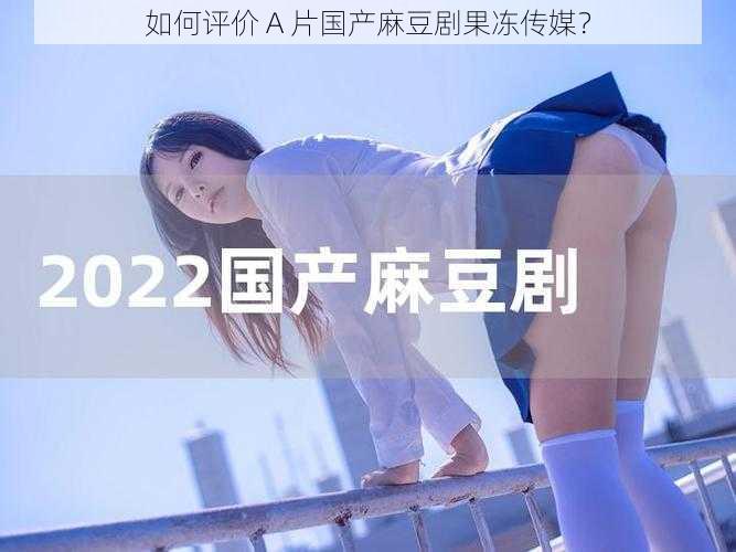 如何评价 A 片国产麻豆剧果冻传媒?