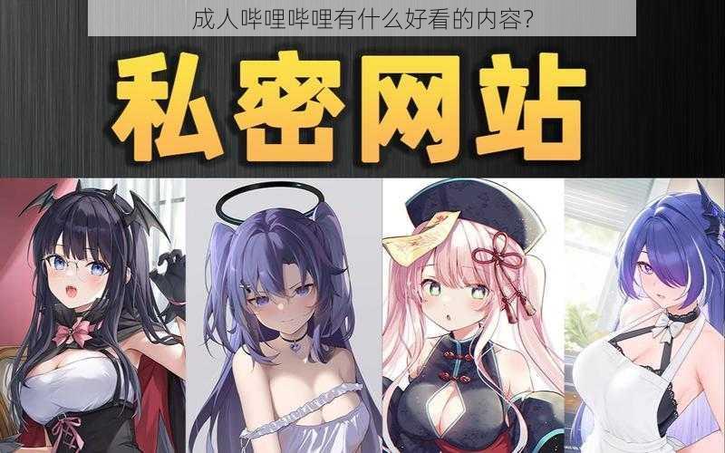 成人哔哩哔哩有什么好看的内容?