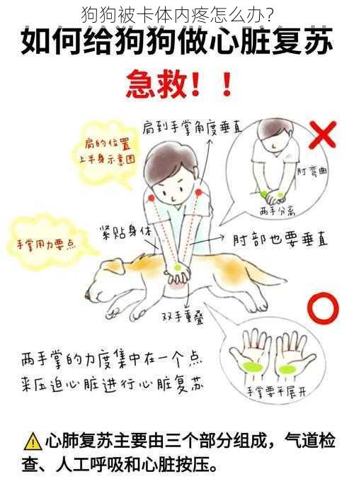 狗狗被卡体内疼怎么办?
