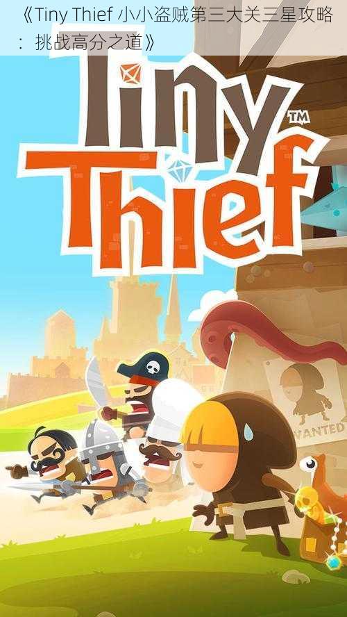 《Tiny Thief 小小盗贼第三大关三星攻略:挑战高分之道》
