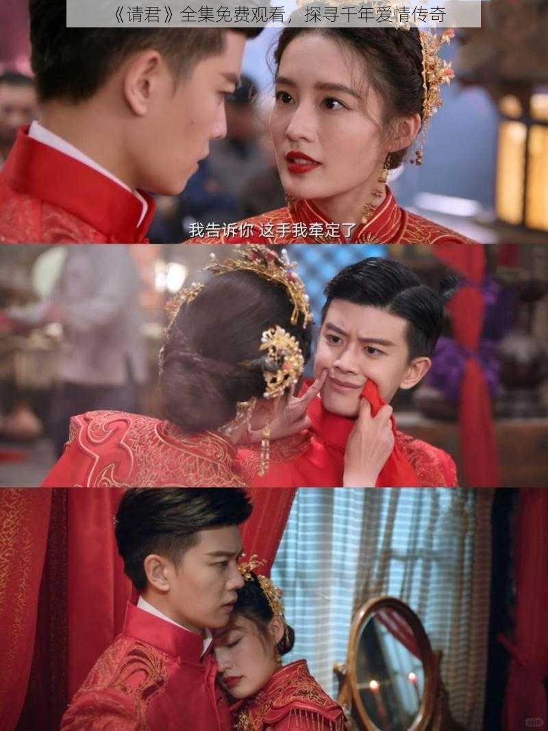 《请君》全集免费观看,探寻千年爱情传奇