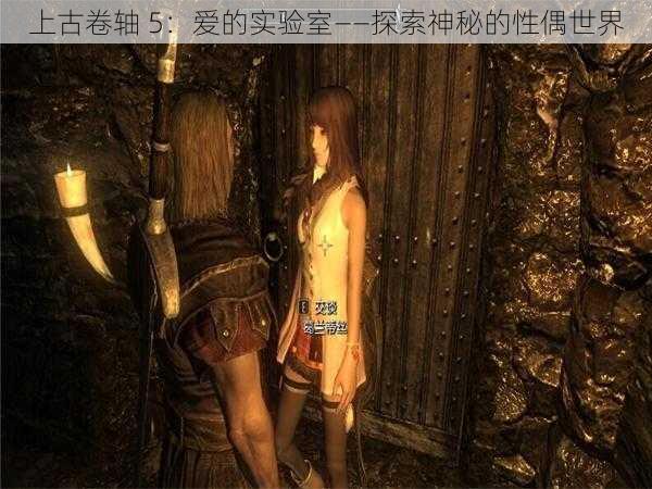 上古卷轴 5:爱的实验室——探索神秘的性偶世界