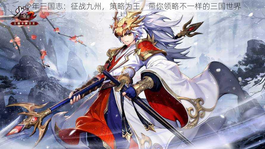 少年三国志:征战九州,策略为王,带你领略不一样的三国世界